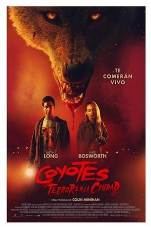 COYOTES