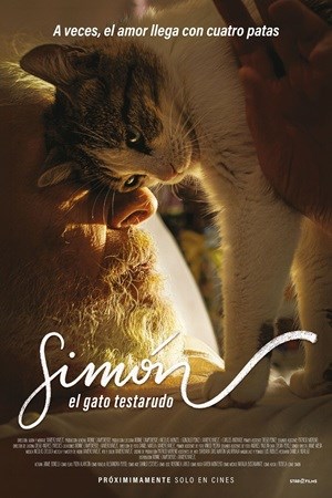 SIMON: EL GATO TESTARUDO